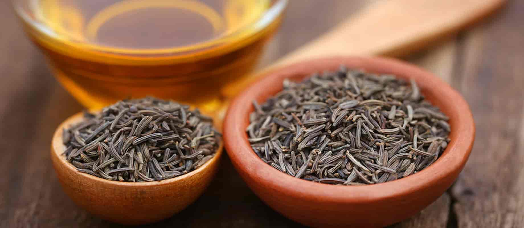 زیره سیاه روغن مناسب تولید عصاره گیاهی